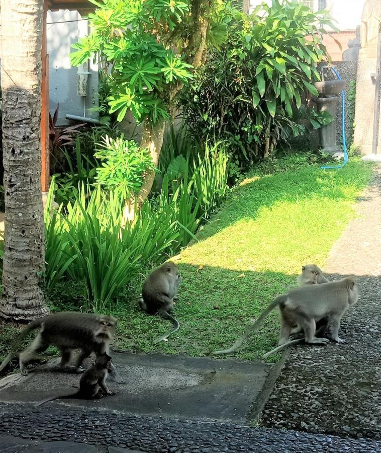 アーガスカ バンガローズ ウブド エクステリア 写真